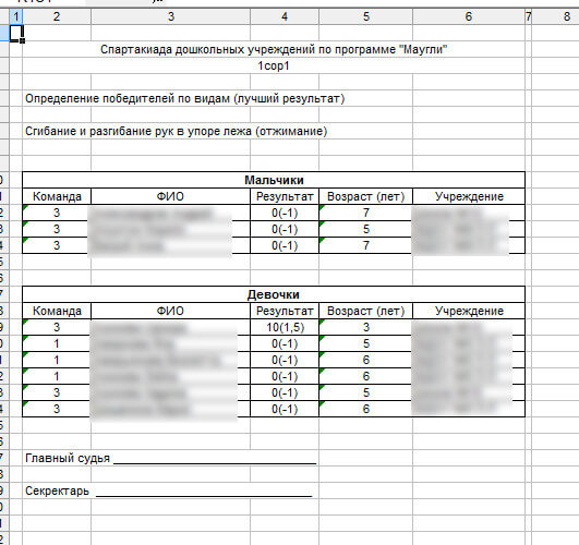 1с разработка отчета для Маугли